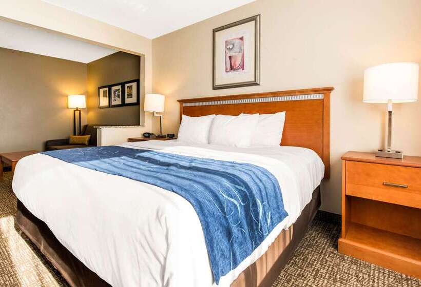 هتل Comfort Suites Normal University Area