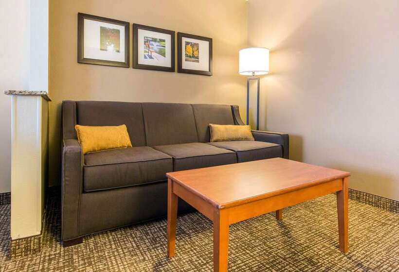 هتل Comfort Suites Normal University Area