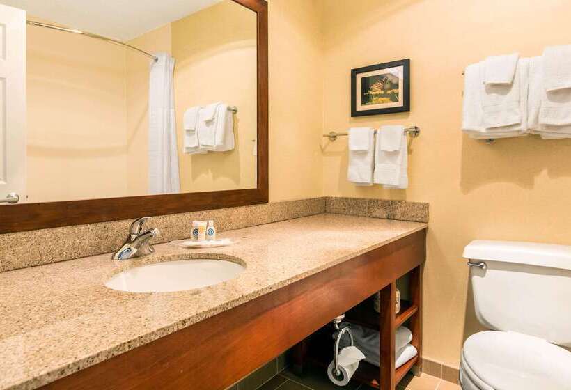 هتل Comfort Suites Normal University Area