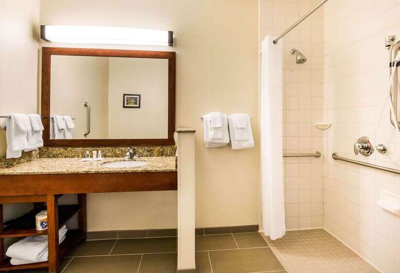 هتل Comfort Suites Normal University Area