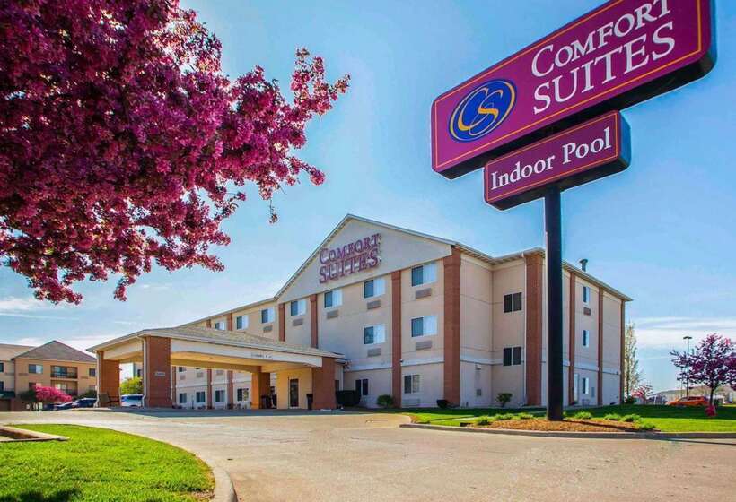 酒店 Comfort Suites Normal University Area