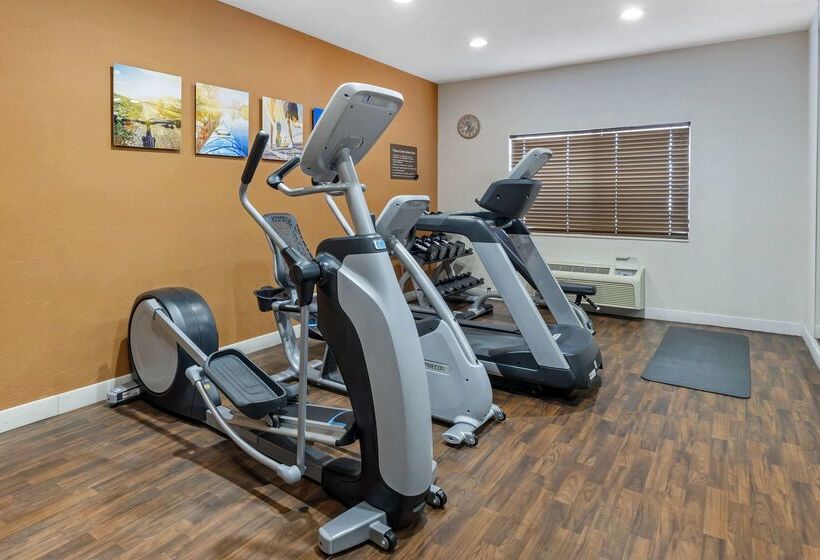 هتل Comfort Suites Normal University Area