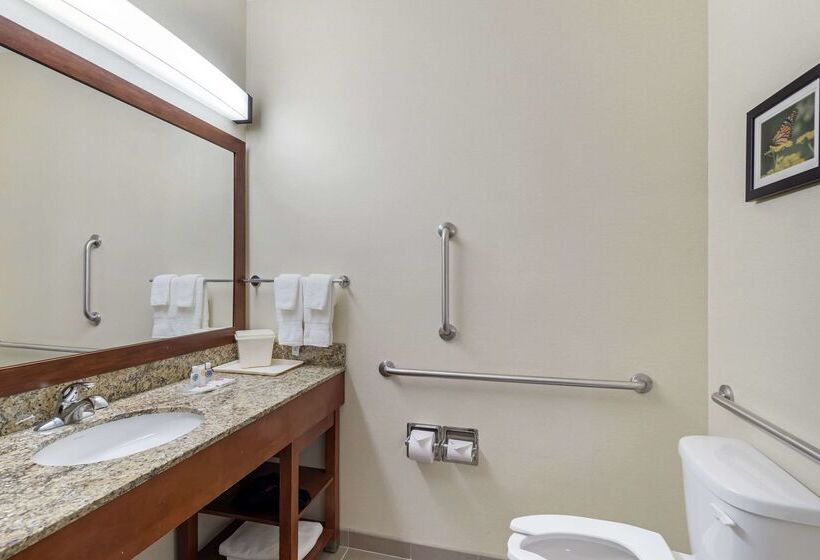 هتل Comfort Suites Normal University Area