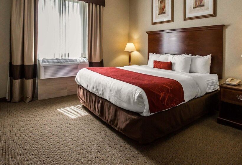 هتل Comfort Suites Stafford Near Sugarland