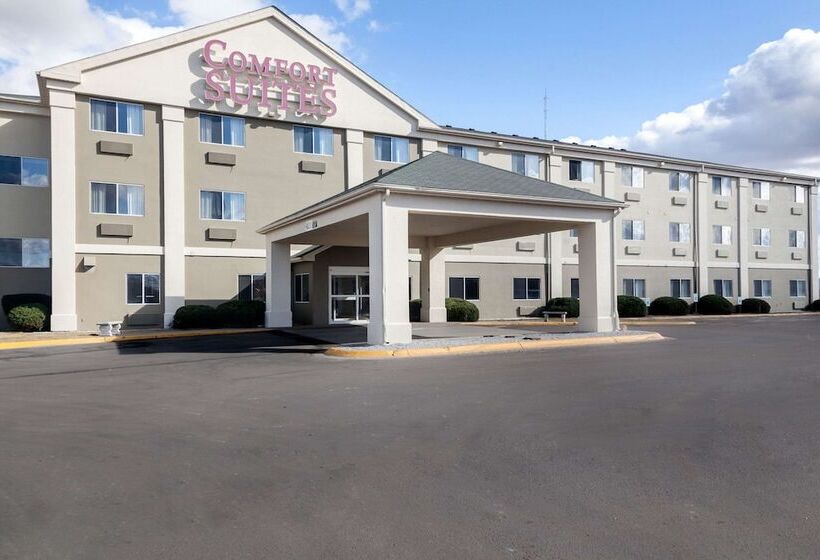 هتل Comfort Suites University