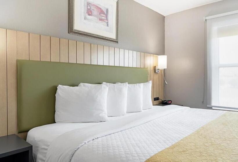 ホテル Country Inn & Suites By Radisson, Lewisville, Tx