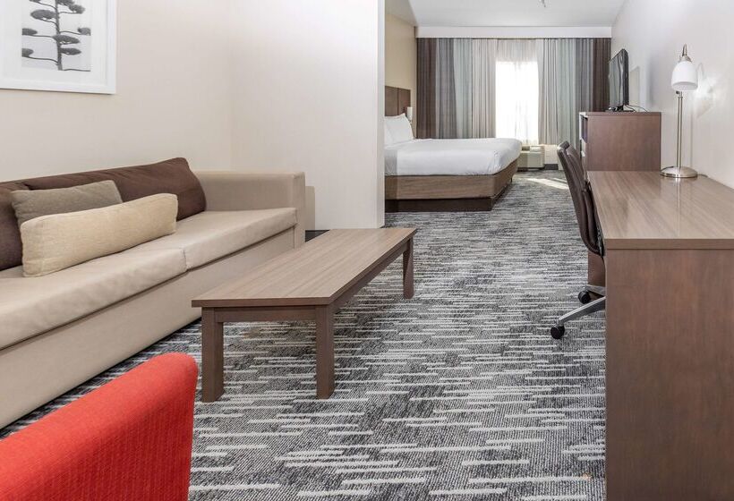酒店 Country Inn & Suites By Radisson, Smyrna, Ga