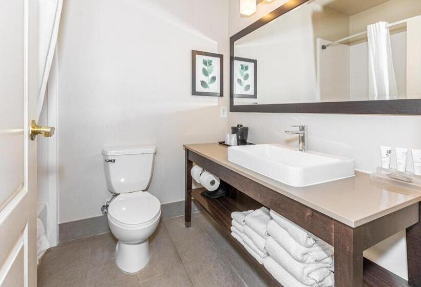 هتل Country Inn & Suites By Radisson, Smyrna, Ga