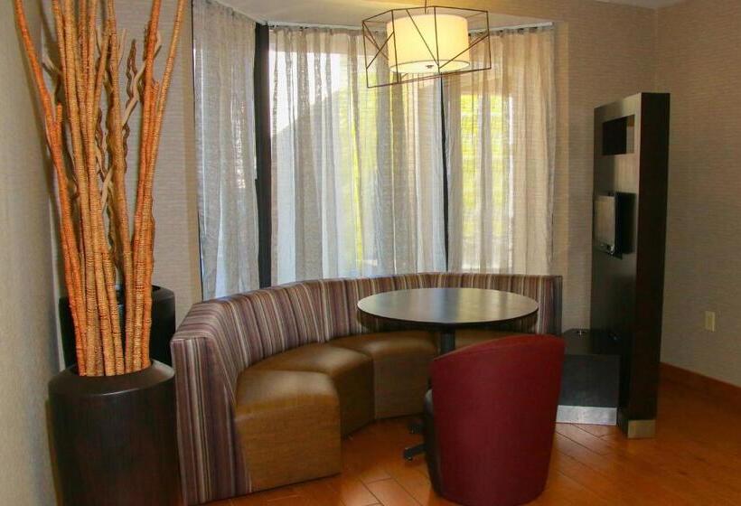 هتل Courtyard Chesapeake Greenbrier