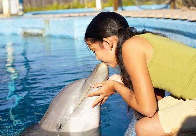 Отель Courtyard By Marriott Vacaville