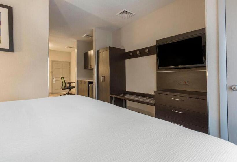 هتل Holiday Inn Express & Suites Chicago West  St Charles