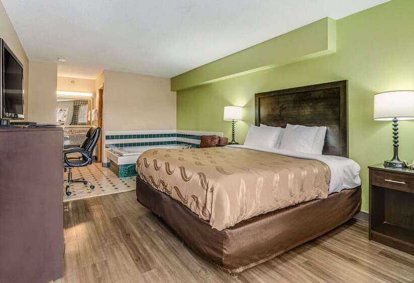 ホテル Quality Inn & Suites Dublin