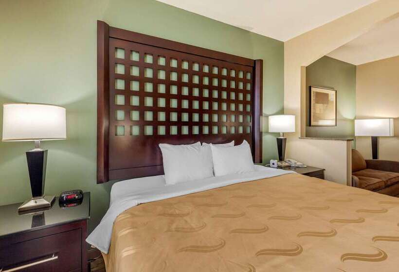 Отель Quality Inn & Suites Durant