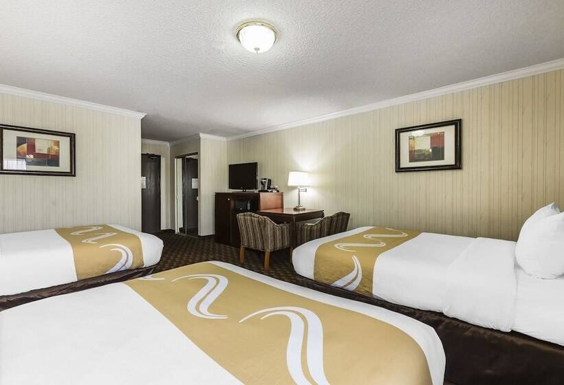 Hotel Quality Inn & Suites Los Angeles Airport Lax