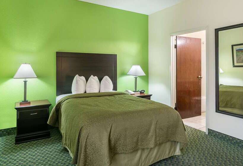 酒店 Quality Inn & Suites Near I 80 And I 294
