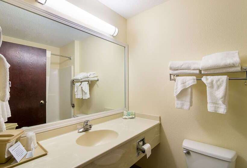 酒店 Quality Inn & Suites Near I 80 And I 294