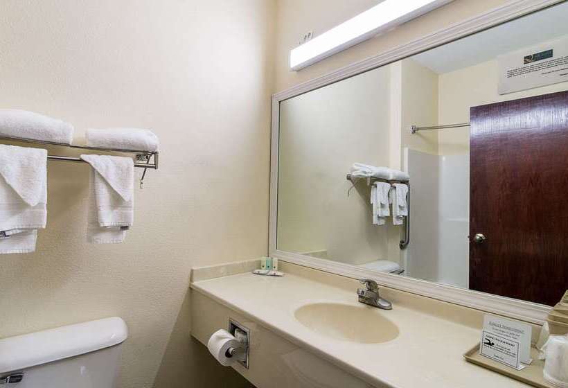 酒店 Quality Inn & Suites Near I 80 And I 294