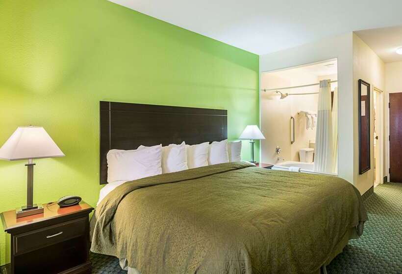酒店 Quality Inn & Suites Near I 80 And I 294