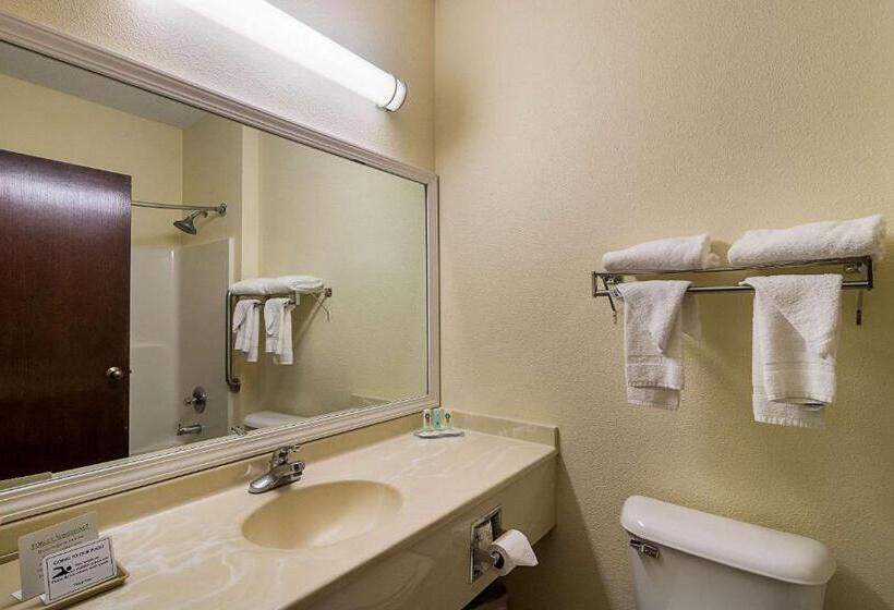 酒店 Quality Inn & Suites Near I 80 And I 294
