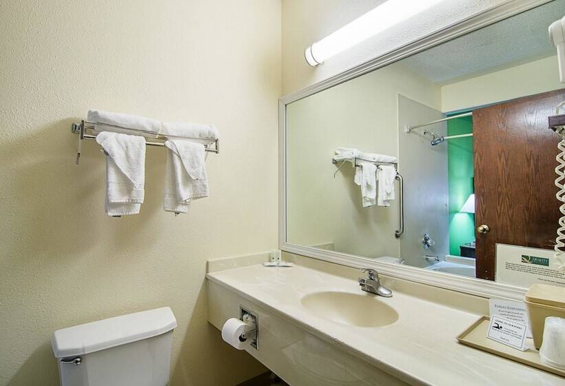 酒店 Quality Inn & Suites Near I 80 And I 294