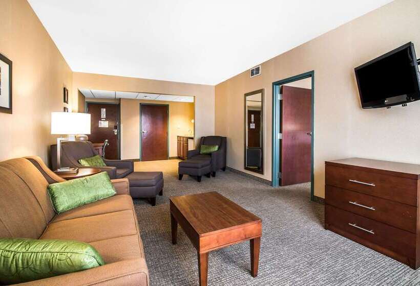 ホテル Quality Inn & Suites