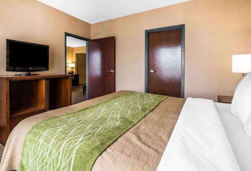호텔 Quality Inn & Suites