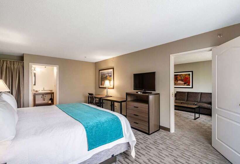 Hotel Riverview Inn & Suites, Ascend  Collection