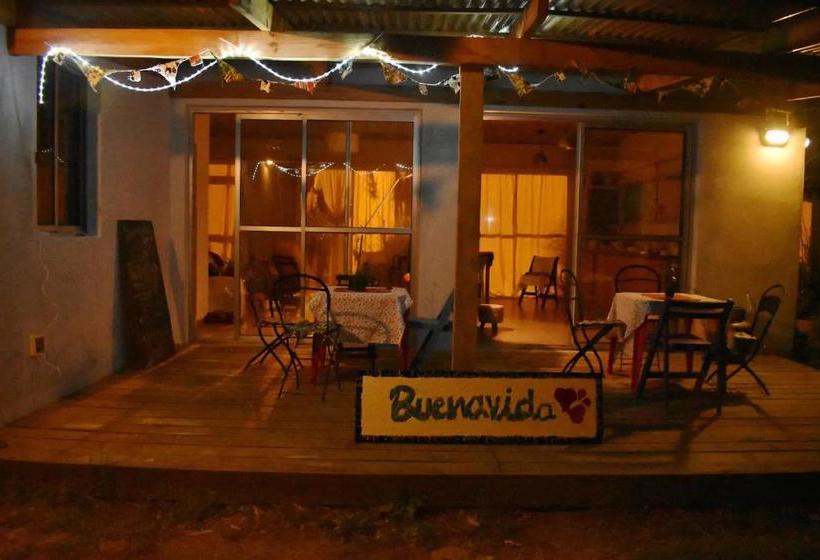 هاستل Buenavida