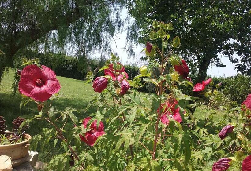 مبيت وإفطار Villa Minerva Family Relais