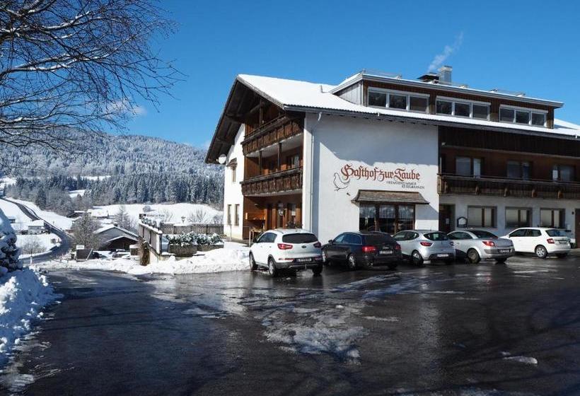 Общежитие Pension & Gasthof Zur Taube