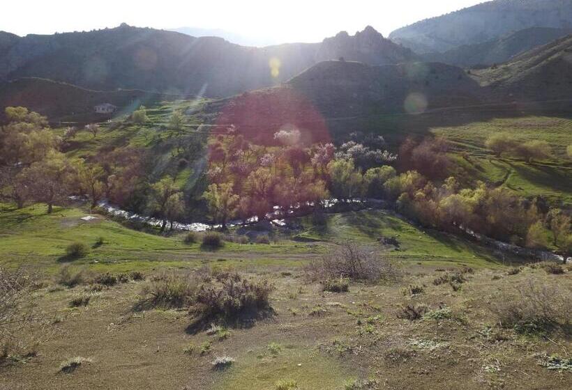 هتل کپسول Ranger Campus Eco Lodge