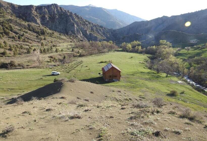 هتل کپسول Ranger Campus Eco Lodge