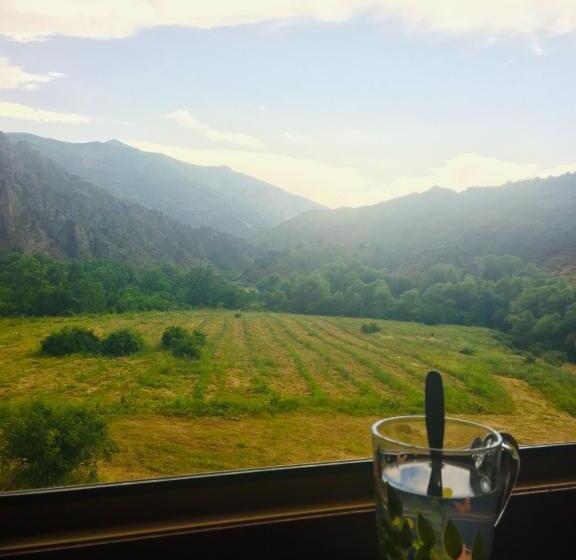 هتل کپسول Ranger Campus Eco Lodge
