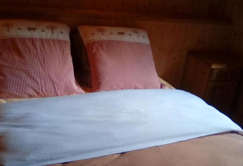 بنسيون Grand Chalet Du Lac Du Boreon