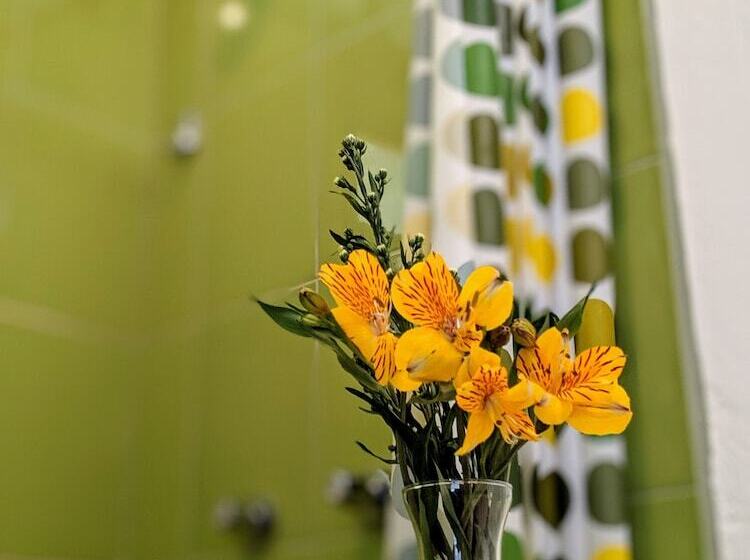 هاستل Venus De Valdivia Aeropuerto