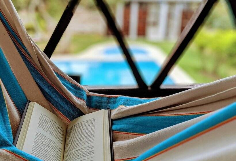 هاستل Venus De Valdivia Aeropuerto