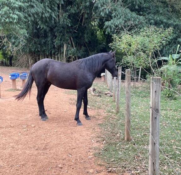 ペンション Pousada Vale Dos Diamantes