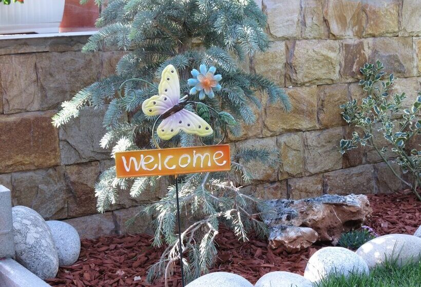 پانسیون Aurora Guest House