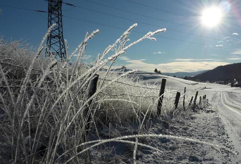 Отель Biohof Gölly