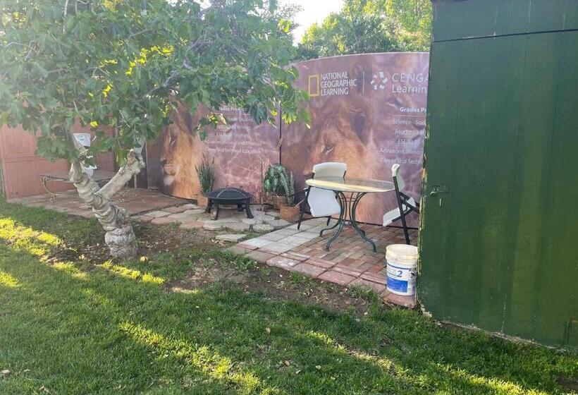 پانسیون The Village