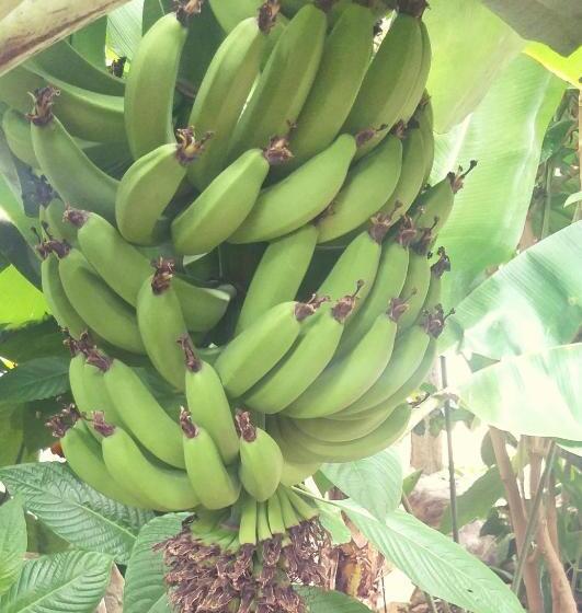 پانسیون Mi Ranchito, Centro