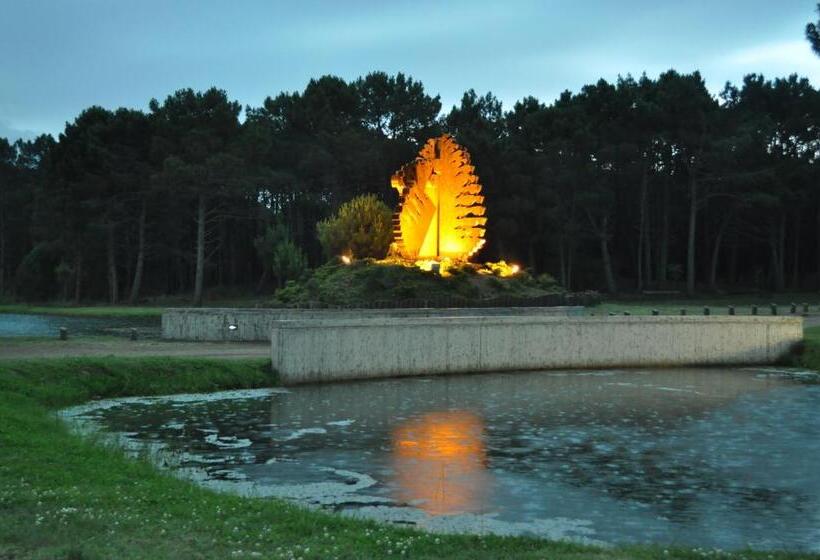 هاستل Hosteria Belvedere