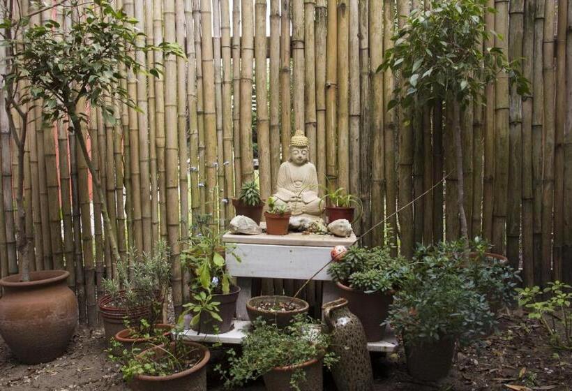 هاستل Hosteria Belvedere