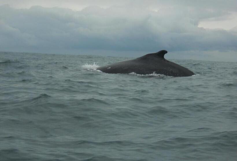 هتل Paraiso Escondido