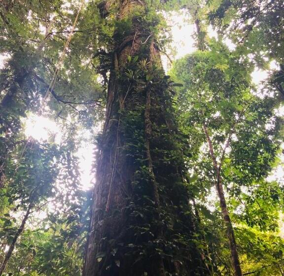 هتل Paraiso Escondido