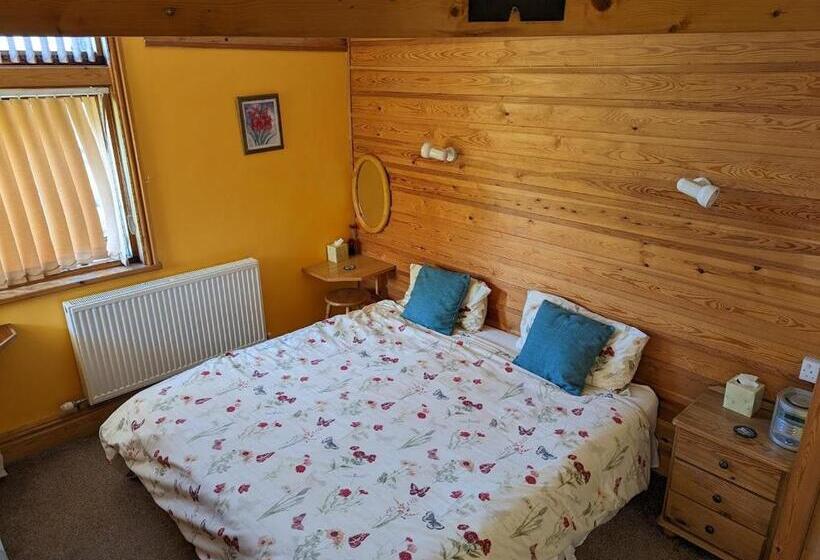 פנסיון Bryn Elltyd Eco House