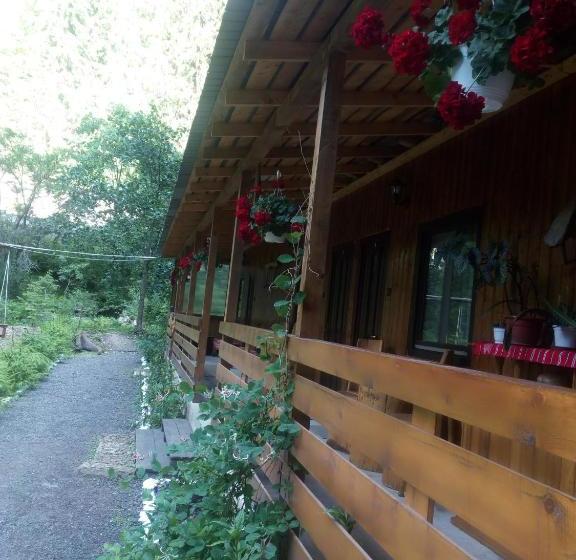 ペンション Casa Vrânceană