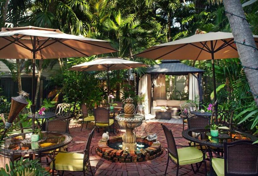 فندق The Mermaid & The Alligator