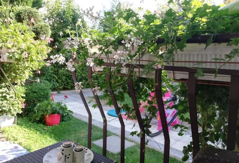 پانسیون Guest House Ivy