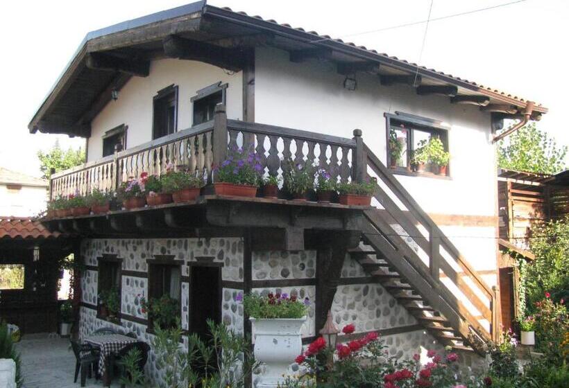 پانسیون Oasis Guest House